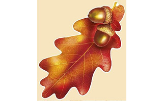 Наклейки оформительские ШКОЛА/ДЕТ.САД А5 код 410  065