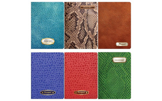 Обложка для паспорта "OfficeSpace" ПВХ фотопечать текстура ассорти 201787