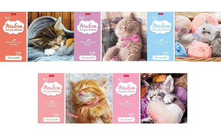 Альбом для рисования 20л "Котята" 20А4В 004023 Хатбер