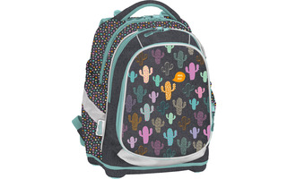 Рюкзак "Seventeen.Кактусы" 40*28*17см SKGB-UT5-183