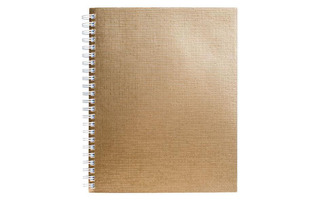 Тетрадь 48 л "Бумвинил.Metallic" золото гребень 48Т5бвВ1гр (077) 059699 Хатбер