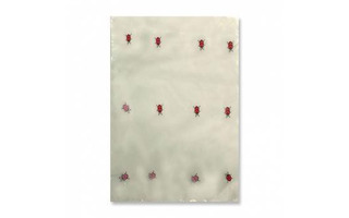 Пакет прозрачный  70*100 (с рисунком)  218