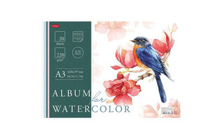 Альбом для акварели 20л "Рисуем акварелью" А3 200г/кв.м спираль тисн. 20Аа3тВпс_20806 060499 Хатбер
