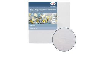 Холст на подрамнике "Студия" 25*35 280г/м² мелкое зерно 060220203 Гамма