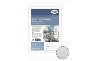 Холст на картоне "Студия" 25*35 280г/м² мелкое зерно 280818_04 Гамма