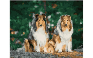 Картина для рисования по номерам "Семейство" 40*50см PK 68051 УЦЕНКА