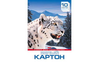 Картон белый А4  8л  Нкн8б_28643 "ArtSpace.Снежный барс"
