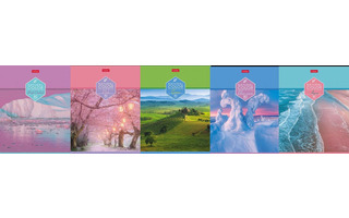 Тетрадь 80 л "Colour" линия 80Т5В2 064477 Хатбер