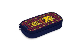 Пенал 1 отд "Гарри Поттер" 205*95*45 на молнии  Npk_53307 Hatber