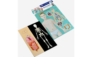 Игра развивающая "Анатомия" магнитная 03820