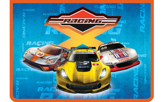 Папка для тетрадей А4 ПМ-А4-291 "Трио Х" 1 отд молния