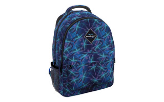 Рюкзак "Erich Krause.EasyLine.Neon Dragonflies" 44*33*23см 2 отд 3 кармана 54737