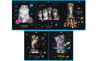 Тетрадь 48 л "МУРчат Коты" клетка скруг.углы 48Т5лВ1 075319 Хатбер