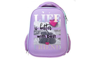 Рюкзак "Ergonomic light.Лучшие друзья" 38*29*15см 2 отд 2 кармана NRk_71020 Hatber