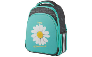 Рюкзак "Berlingo.Expert Plus.Chamomile" 38*29*15см 2отд 2кармана эргоном.спинка RU07144