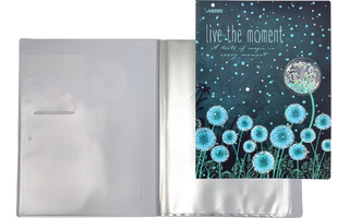 Папка  20 файлов "deVente.Dandelions"  А4 500мкм 3101204