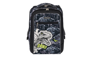 Рюкзак "Erich Krause.ErgoLine.Urban.Dinosaur Park" 44*29*21см 2 отд 1 карман 51618