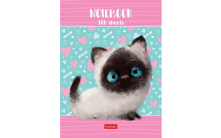 Бизнес-блокнот А6 160л "Кошарик" интегр.пер. клетка 160ББL6В1_27306 075773 Хатбер