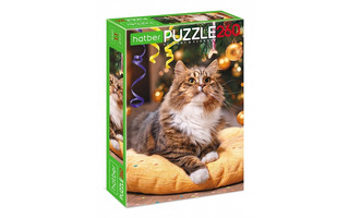 Пазлы Хатбер  260эл "Кот Борис" 260ПЗ4_28478