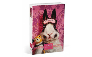 Пазлы Хатбер  500эл "LEGEND.Узнай себя!_№4" подароч.коробка+постер 500ПЗ2_27951