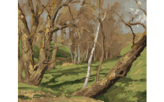 Картина для рисования по номерам "Весна.Апрель" 40*50см Рх-063