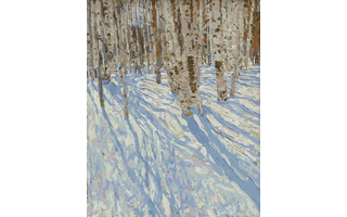 Картина для рисования по номерам "Март.Березняк" 40*50см Рх-069