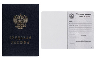 Бланк "Трудовая книжка" 349212