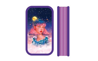 Пенал 2 отд ПО-090 "Следуй за звездой" большой 190*105