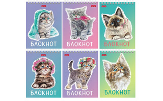 Блокнот А6   40л "Котики бывают разными" спираль 40Б6В1гр 080474 Хатбер