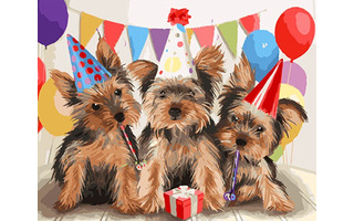 Картина для рисования по номерам "День рождения.Йорки" 40*50см МСА1887