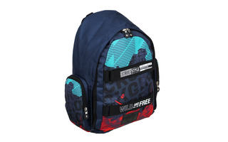 Рюкзак "Вайлд энд фри" 42*29*14см 1отд 2кармана 254-686