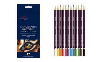 Карандаши 12 цв "Vista-Artista.Gallery" VGCP-12