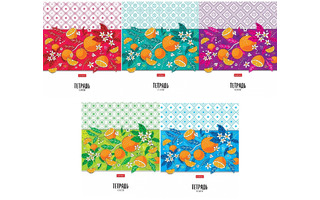 Тетрадь 48 л "Апельсиновое настроение" клетка 48Т5В1 082514 Хатбер