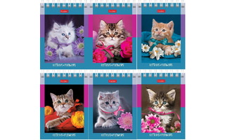 Блокнот А7  60л "На мягких лапках" клетка спираль 60Б7В1гр 081164 Хатбер