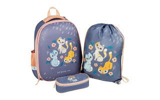 Рюкзак "ArtSpace School Friend.Kittens" 39*30*18см 2 отд 2 кармана Uni_17746 пенал+мешок для обуви