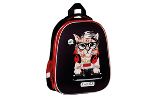 Рюкзак "ArtSpace School Friend.I'm DJ" 39*30*18см 2 отд 2 кармана Uni_17761