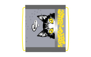 Мешок для обуви СДС-33 "Элит.Кто здесь?" 460*360мм светоотр. полоса