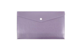 Папка с кнопкой С6 "Expert C.ICEberries" ежевика 230*130мм 180мкм EC211120062