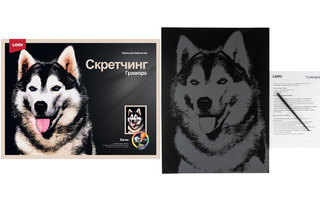 Гравюра "Скретчинг.Животные.Хаски" 30*40см цветная Гр-761