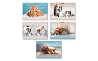 Альбом для рисования 32л "Правда милые?" 32АЛСК4_3_3_9  000220 SVETOCH