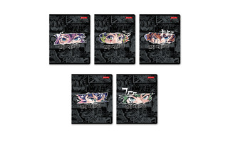 Тетрадь 48 л "Я крейзи" линия 48ТЕТк-001 000755 SVETOCH