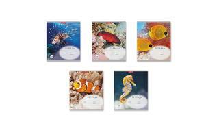 Тетрадь 24 "Подводный мир" клетка 58269 ErichKrause