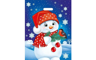 Пакет   38*48 "НГ.Снеговик и снегирь" с вырубкой ПЭ большой код 307 56,005,00