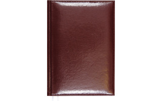 Ежедневник А5  352стр УЦЕНКА "deVENTE.Attomex.Visa" иск.кожа коричневый  датир 2024 2332463