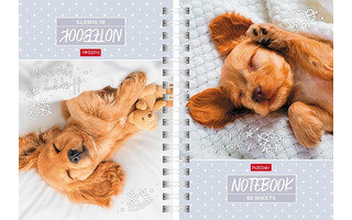 Записная книжка А6   80л "Носики-курносики" на гребне тв.обл двойная 80ЗКтд6В1гр_30180 082842 Хатбер