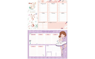 Расписание уроков А4 "Пиши-стирай.Cool girl" 311935 ArtSpace