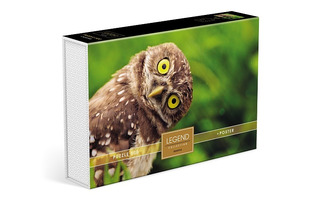 Пазлы Хатбер  500эл "LEGEND Zoo Style.Мудрая сова" подароч.коробка+постер 500ПЗ2_27067 082547