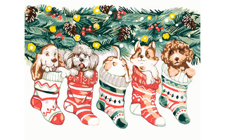 Картина для рисования по номерам "Пушистые подарки" 40*50см ФРЕЯ PNB/PL-022