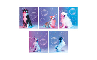 Тетрадь 12л "Собаки" частая косая Т5ск12 55442 BG