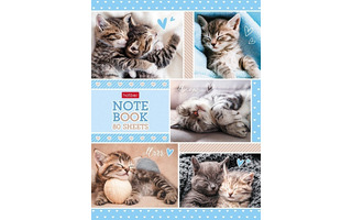 Бизнес-блокнот А5  80л "Пушистые мордочки" тв.обл 80ББ5В1_30259 084933 Хатбер
